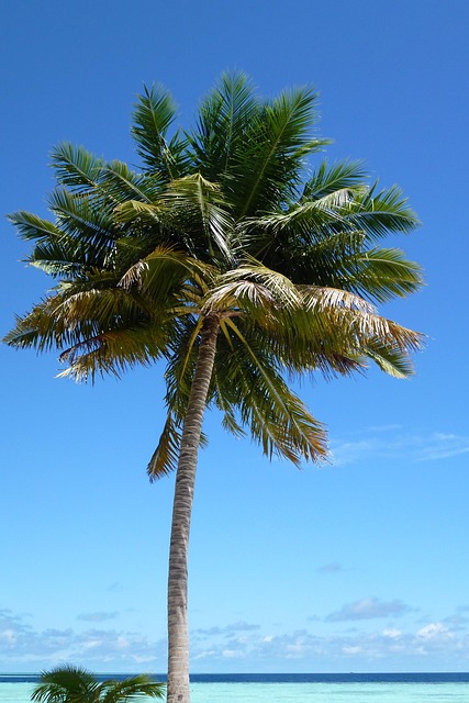 palm beach county rehab