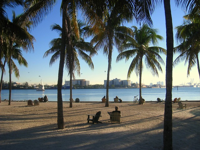 palm beach county rehab