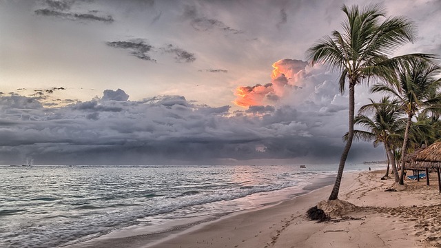 palm beach county rehab