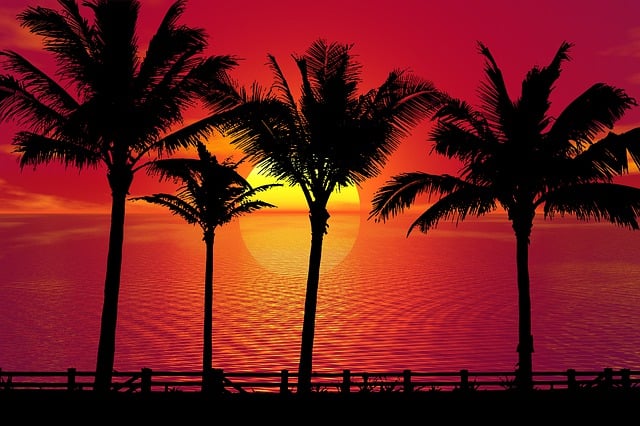 palm beach county rehab