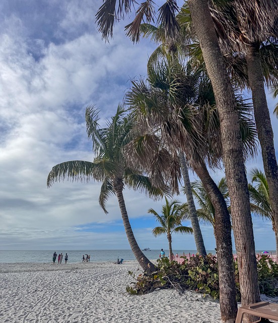 Navigating Palm Beach County’s Mental Health & Addiction Treatment Resources