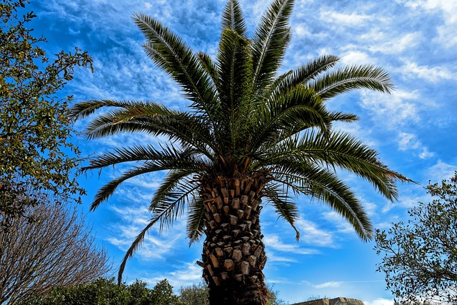 palm beach county rehab
