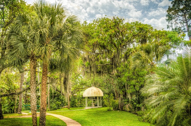 psychiatric services south florida