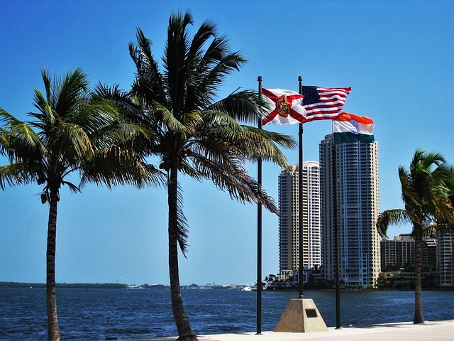 psychiatric services south florida