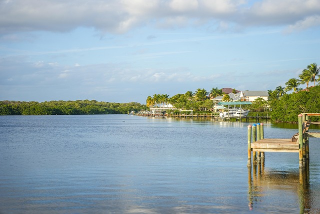 Expert Psychiatric Care: Board-Certified Psychiatrists in South Florida