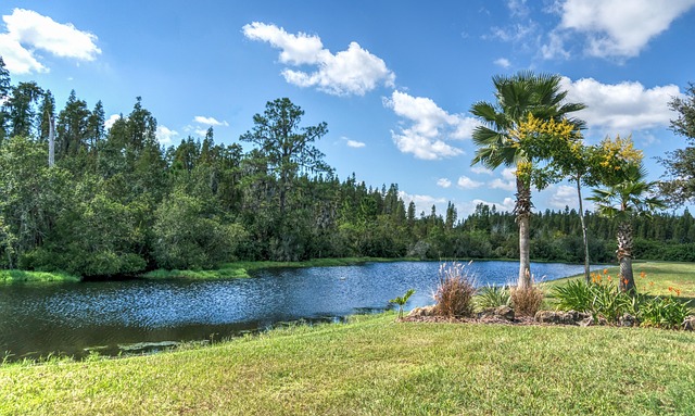 ptsd treatment florida