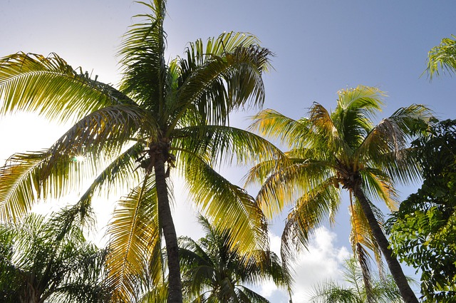 Comprehensive Rehab West Palm Beach: Pathway to Mental Health Recovery