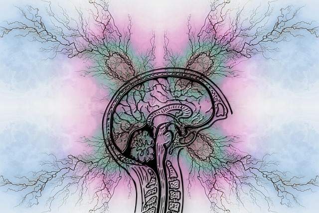 Substance Use Disorder Recovery