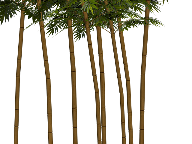 wellness-640x480-44595147.png
