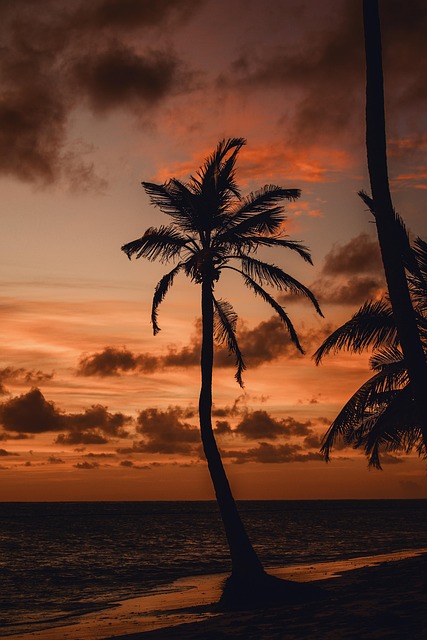 west palm beach addiction