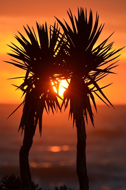 west palm beach addiction