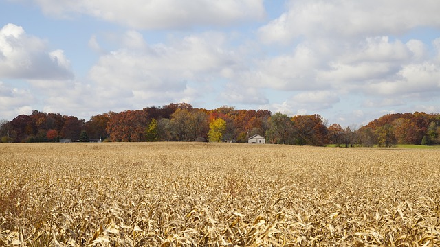 Drug Rehab Indiana