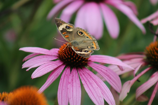 Expert Care Now: Intensive Outpatient Programs in Hackensack, NJ