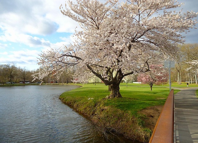 Holistic Freedom: Non-12 Step Rehabs in Paramus, NJ for Mind-Body-Spirit Transformation