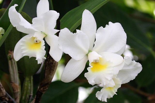Healing in Hackensack: Top Recovery Centers New Jersey