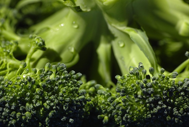 Detox Programs Hackensack New Jersey