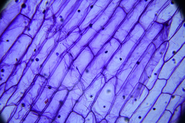 Drug Rehabs Hackensack NJ: Path to Recovery Overview