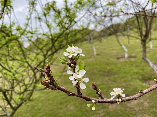 Executive Rehab Fort Lee: Recover & Thrive in New Jersey