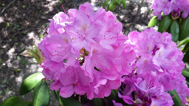 Top Inpatient Rehabs Hackensack New Jersey: Guide to Recovery