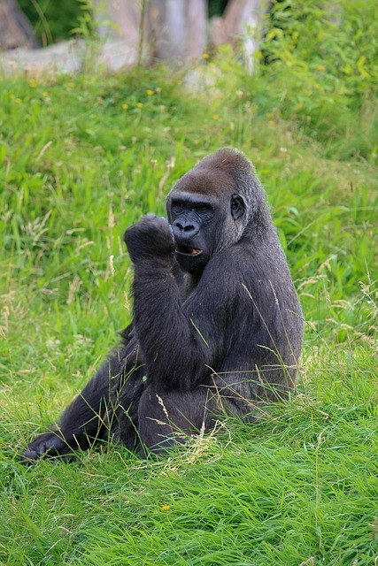 Intensive Outpatient Programs Paramus New Jersey