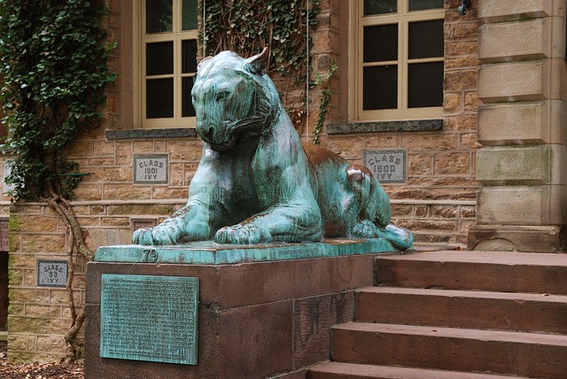 Intensive Recovery: Rivervale’s Inpatient Therapy Approach