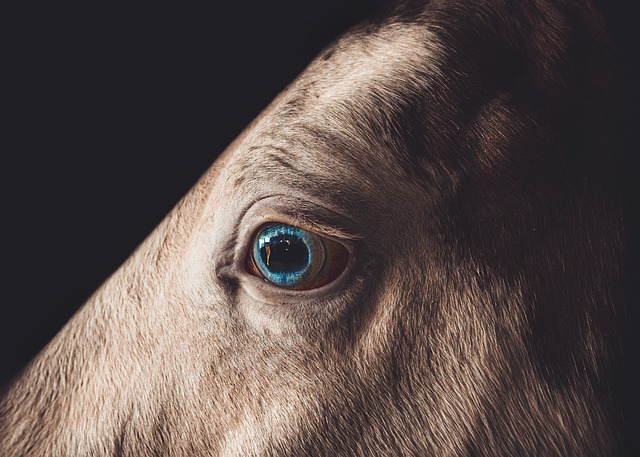 Unveiling Paramus, New Jersey’s Top Rehab Programs Success Stories