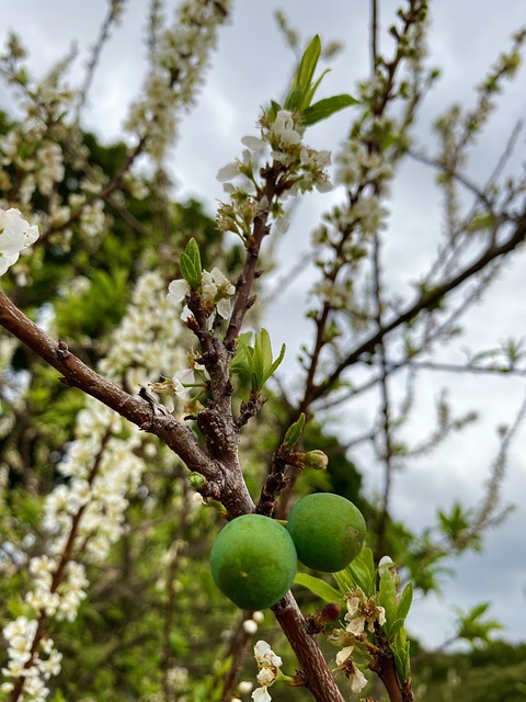 Alcohol Rehabs Fort Lee New Jersey