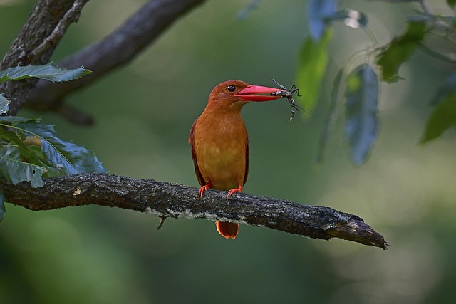 Inpatient Rehabs Fort Lee New Jersey