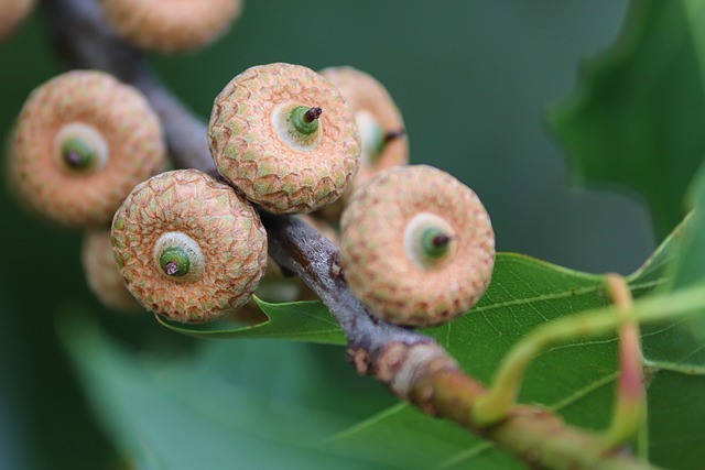 Intensive Outpatient Programs Hackensack New Jersey