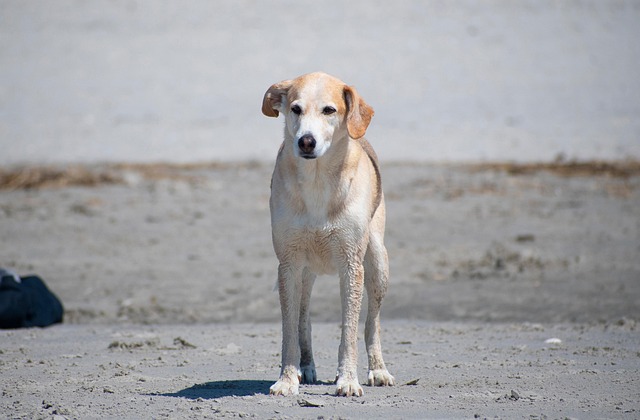 Outpatient Rehabs Rivervale New Jersey