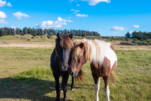 Rehab Facilities Rivervale New Jersey: Path to Long-Term Sobriety