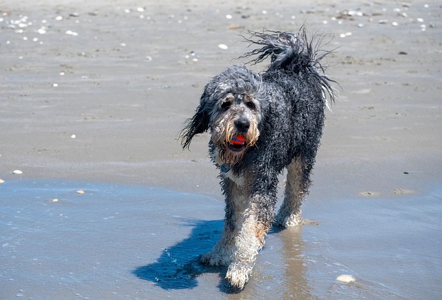 Rehab for Teens: Detox Centers in Paramus, NJ Support