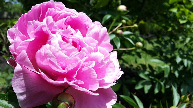 Detox Programs Hackensack: Personalized Path to Habit Overcome