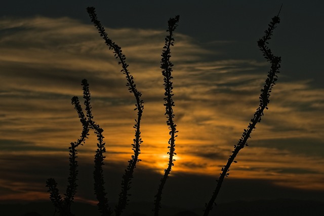 Inpatient Rehabs Fort Lee New Jersey