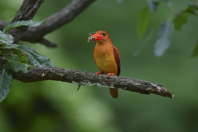 Intensive Outpatient Programs Fort Lee New Jersey