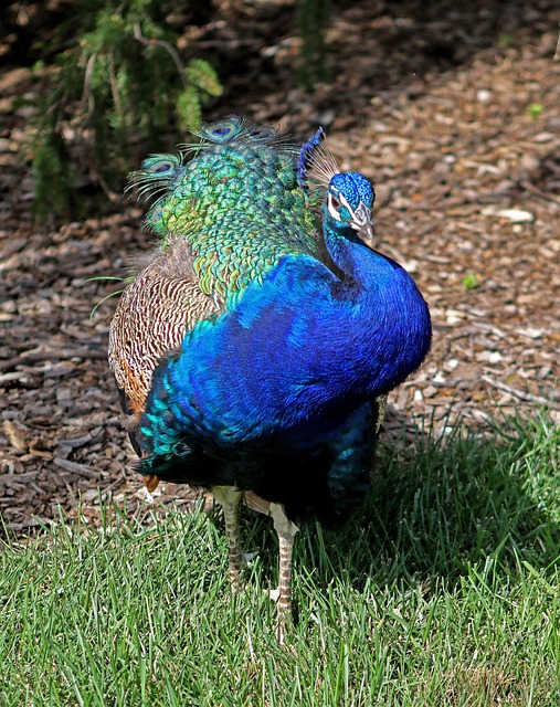 Intensive Outpatient Programs Hackensack New Jersey