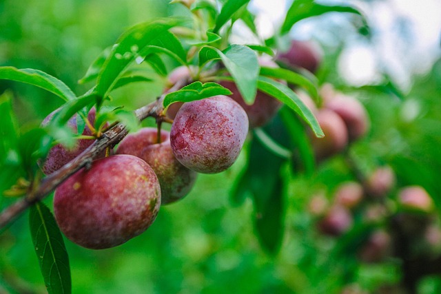 Opioid Treatment Programs Fort Lee New Jersey