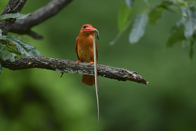 Insurance Coverage & Costs for Addiction Treatment in Fort Lee, NJ