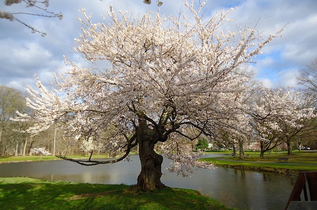 Fort Lee NJ: Healing Through Alcohol Rehabs & Resilience Planning