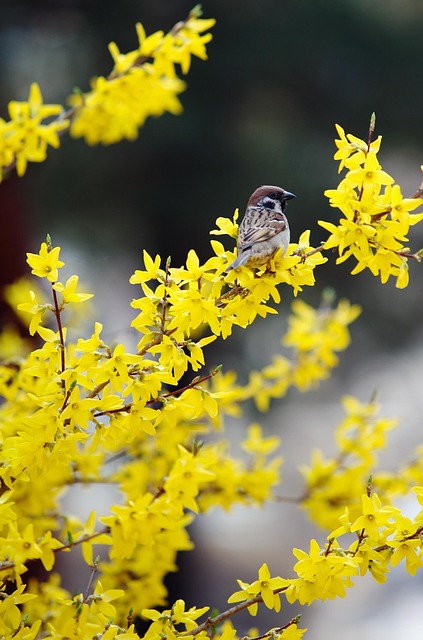 Personalized Addiction Recovery: Luxury Rehabs Fort Lee New Jersey’s Role