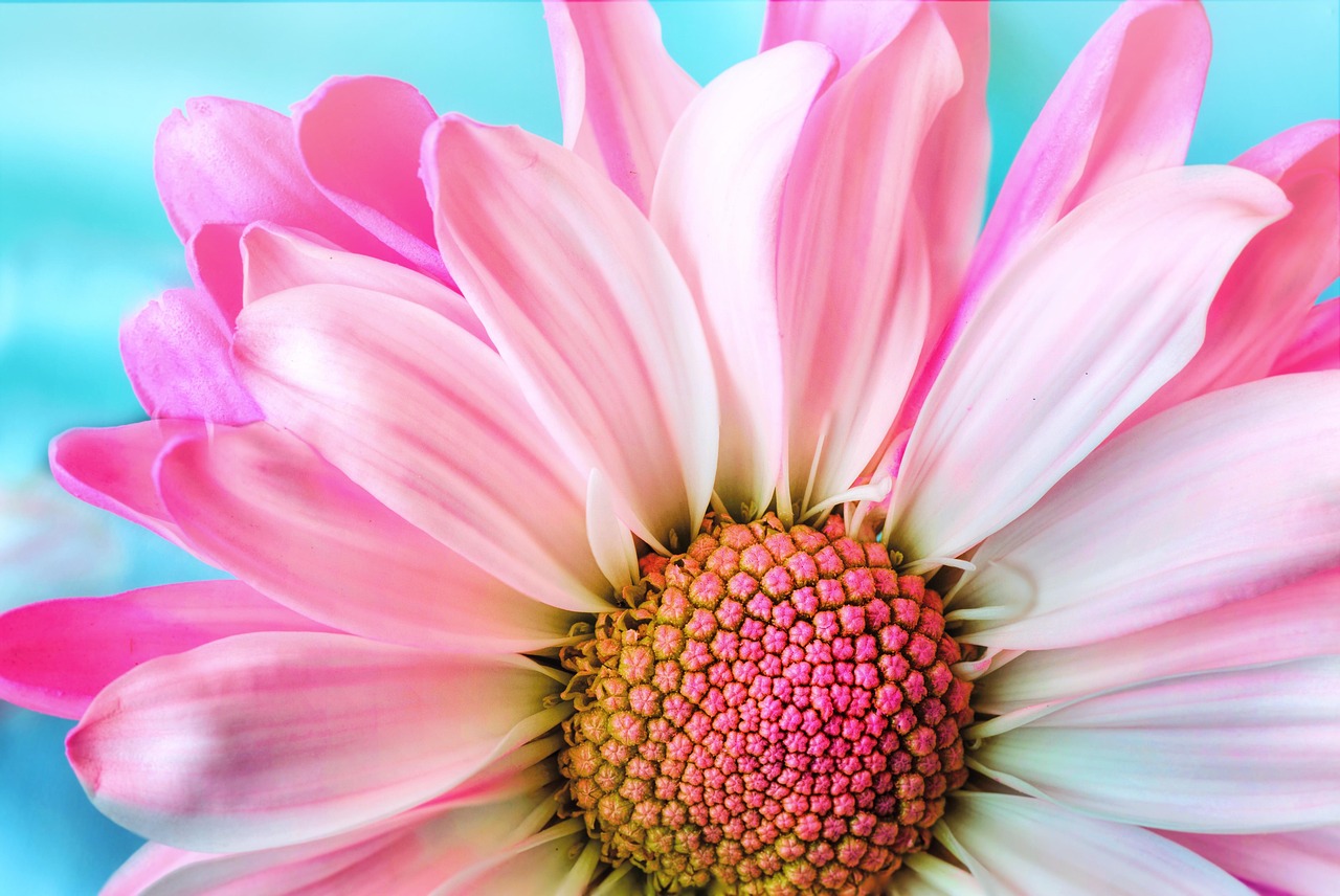 Confidential Inpatient Recovery: Focused Care in Paramus, NJ