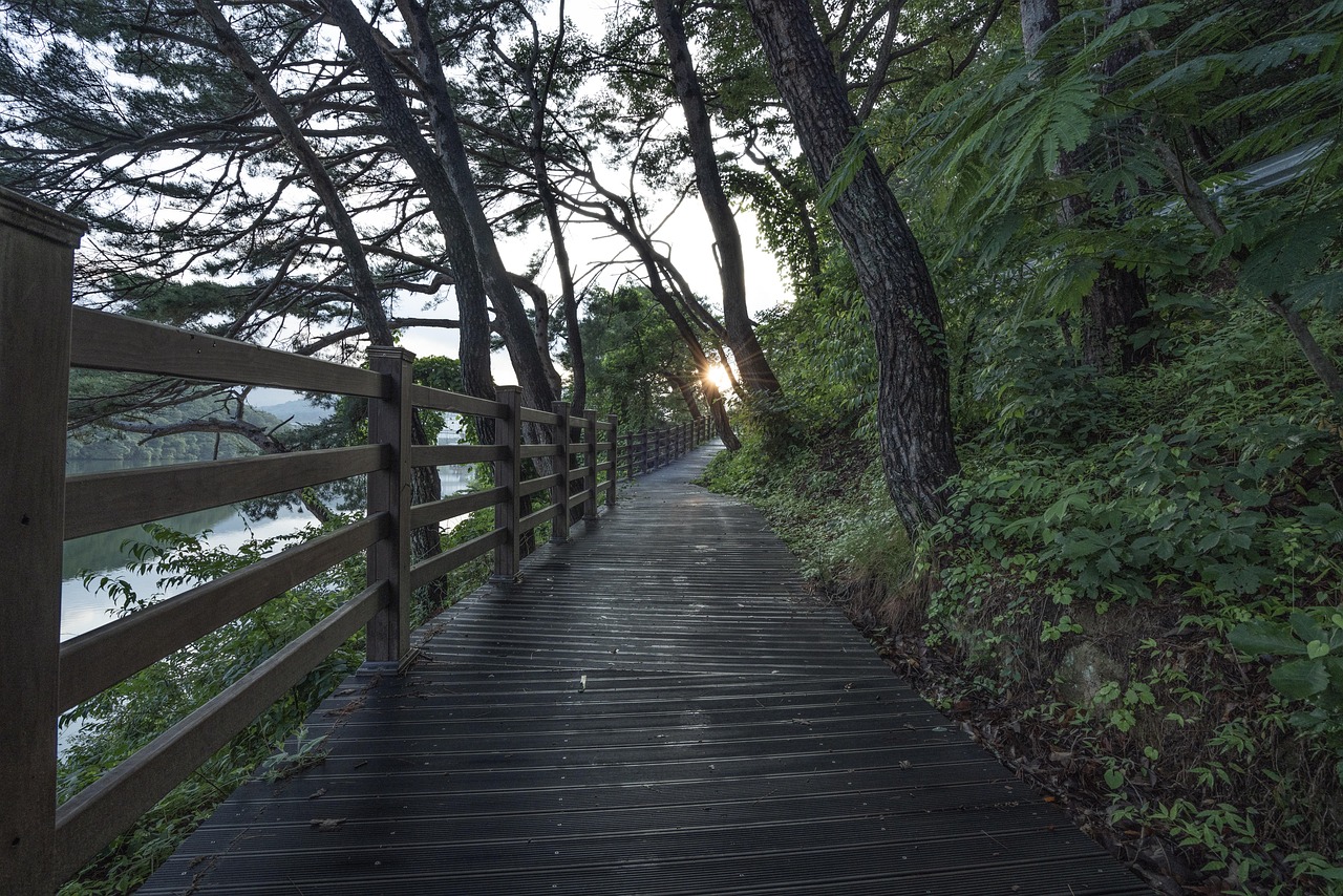 Transform Your Life: Intensive Outpatient Fort Lee NJ